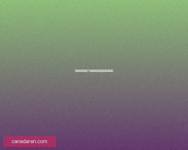 云帆每日免费提供1小时加速器服务畅享极速网络体验