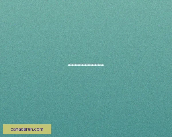 开罗忍者村物语全攻略：从基础建设到高级技能全面解析