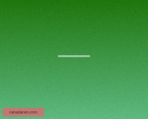 皮甲性感幻化之美：探索奇幻世界中的时尚与战斗艺术融合