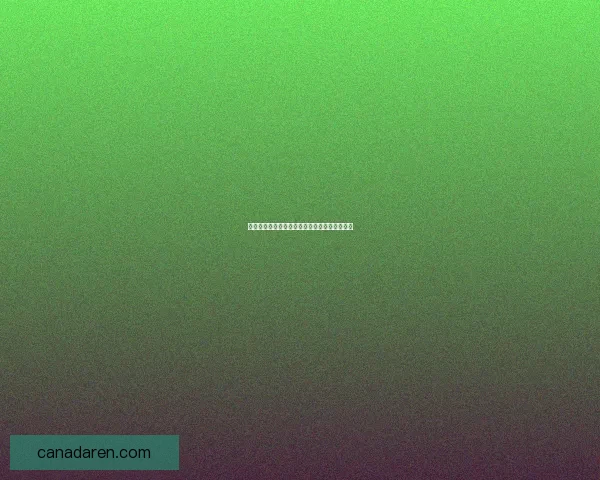 中队指挥官维沙克斯的英勇决策与领导风采解析