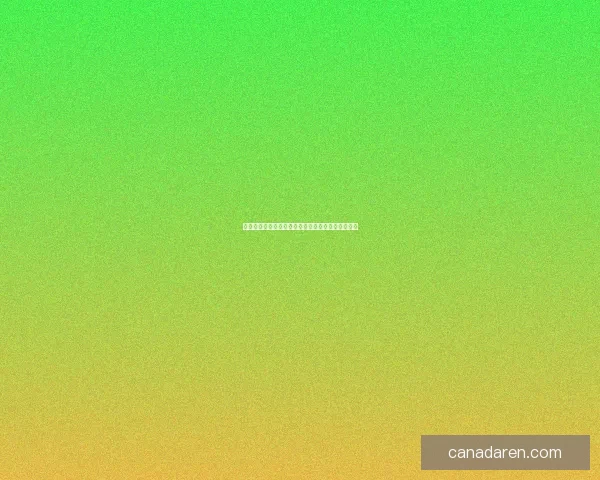 地下城徽章使用技巧与玩法详解探索全方位应用方法