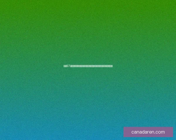 探索97秘籍的深层含义与实践应用解析，揭示背后隐藏的智慧与思维方式